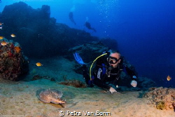 Electric stingray meets diver at Lanzarote, Canary Island- by Petra Van Borm 